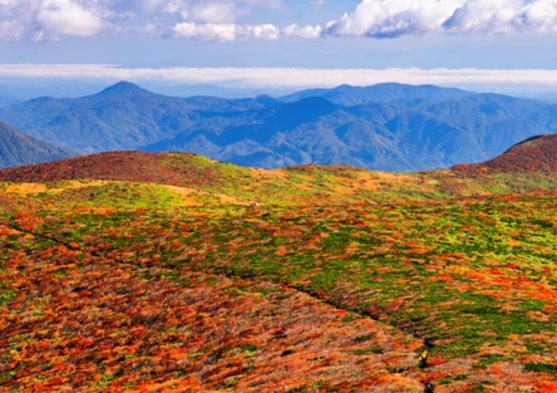 10月【紅葉の栗駒山】欲張りコース※和室